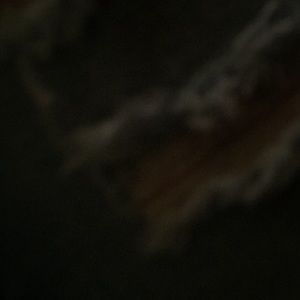 Meet your Posher, India